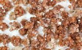 Lot: Small Twinned Aragonite Crystals - Pieces #78110-1